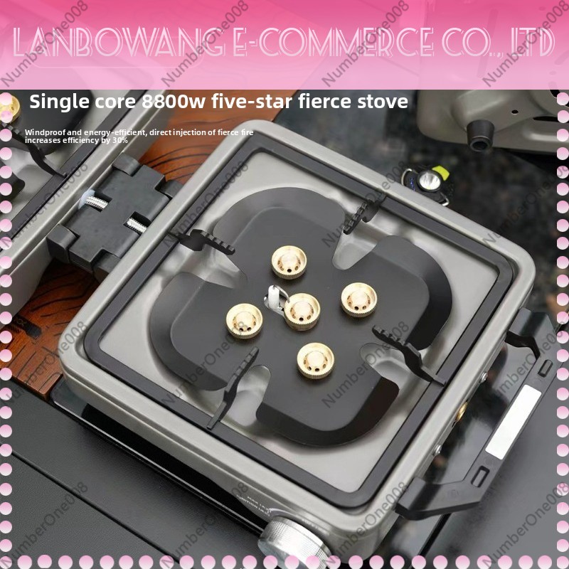 Outdoor Dual Burner High Power - Outdoor Camping Gas Stove recension och pris