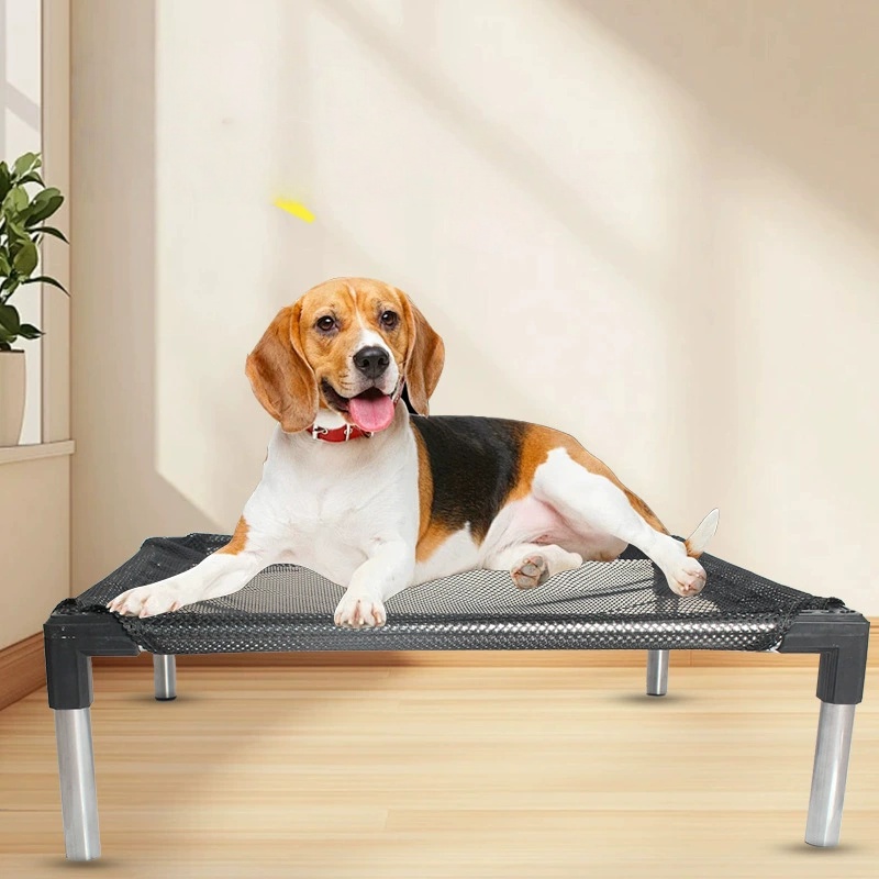 Cooling Elevated Dog Bed - Rai - Outdoor Camping Couch recension och pris
